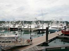 Costa Rica is one of the most popular sport fishing destinations in the world. This is a photo of the Los Suenos Marina, Herradura.