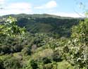 Nauyaca Waterfall