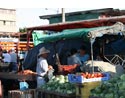 Farmers market in San Jose