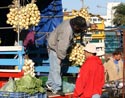 Onions