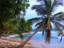 The beautiful beach inside the national park.