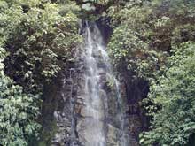A small waterfall in Tapanti National Park.