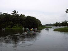 The best way to explore the canals of Tortuguero is by kayak.