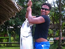 The, amongst sport fishermen very popular, tarpon can be caught in Tortuguero. The fish can get up to 2,5 meters long!