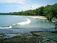 View of the beach in Cahuita National Park.