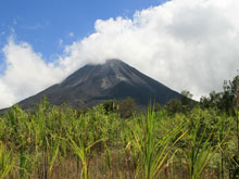 The view of Volcano Arenal from the national park.
