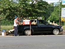 Cold coconuts (pipas frias) are sold in the street in Puerto Viejo de Sarapiqui.