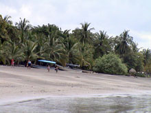 Palm trees offer shade at the beach of Samara Beach.