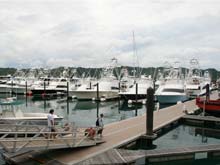 Costa Rica bietet perfekte Bedingungen zum Sportfischen. Dies ist der Sportboothafen Los Suenos in Herradura.
